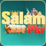 Salam Pkr Game Download APK